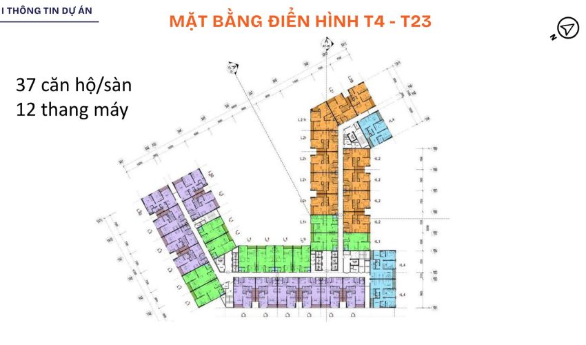 Mặt bằng căn hộ nhà ở xã hội PG Aura An Đồng